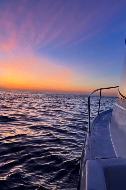 Traditional Squid and Cuttlefish Fishing in Algarve - Fishing Experience Highlights