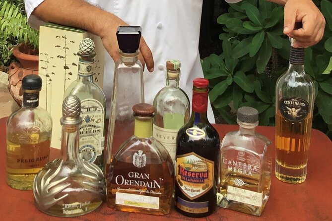 Traditional Tequila Tasting Experience With Jorge Cuervo - What to Expect During the Tequila Tasting
