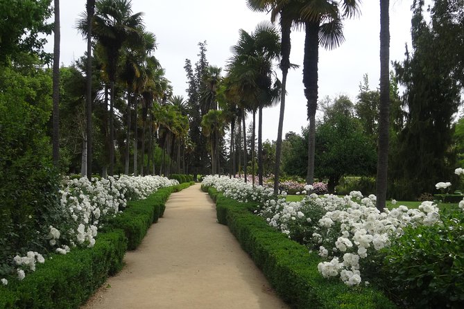 Traditional Undurraga Tour - Booking Information