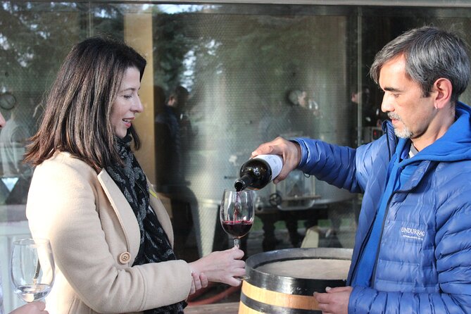 Traditional Undurraga Vineyard Tour - Tour Details