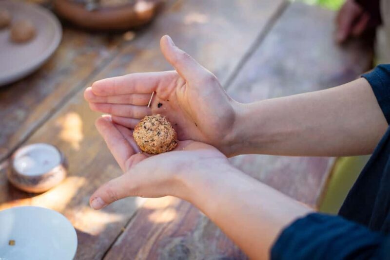 Traditional Vegetarian Food & Village Dance Masterclass - Good To Know