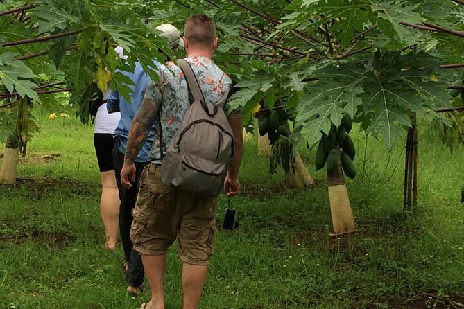 Traditional Village Tour - Good To Know