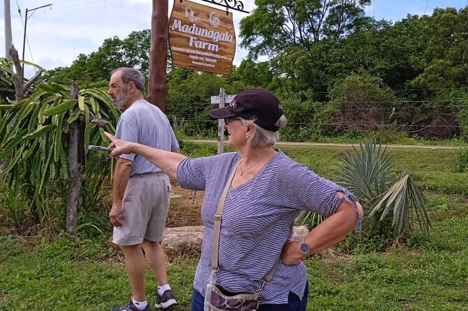 Traditional Village Tour - Pricing and Booking