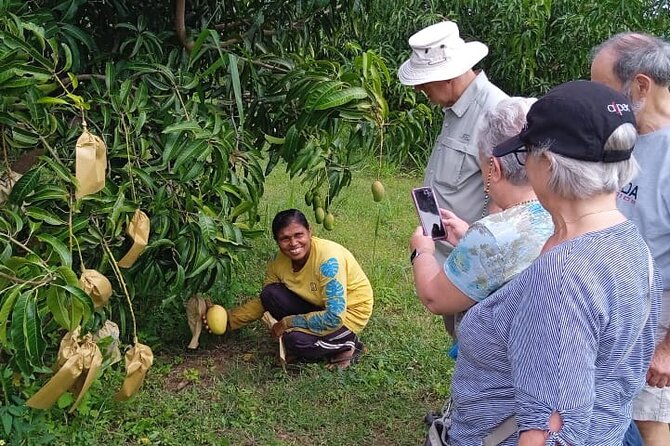 Traditional Village Tour - Positive Review Details
