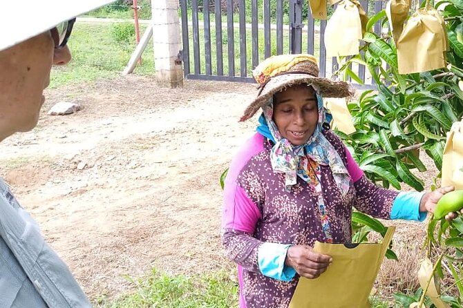 Traditional Village Tour - Tour Experience Highlights