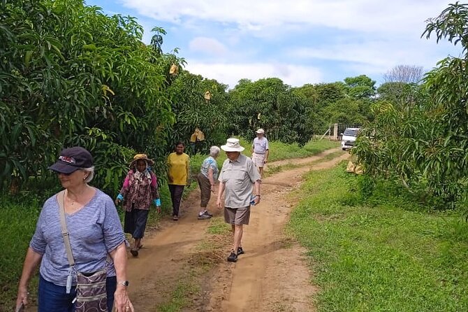 Traditional Village Tour - Recommendations