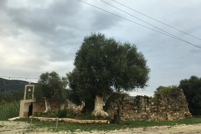 Traditional villages of Chania Private Tour to Explore pure Crete - Who Would Love This Tour?