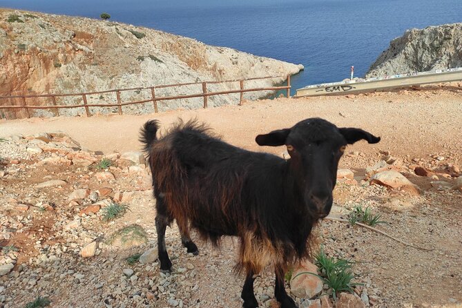 Traditional Villages of Chania Private Tour to Explore Pure Crete - Itinerary Overview