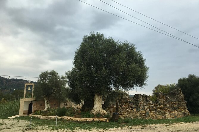 Traditional Villages of Chania Private Tour to Explore Pure Crete - Immersive Cultural Experiences