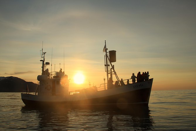 Traditional Whale Watching Tour From Húsavík - Common Questions