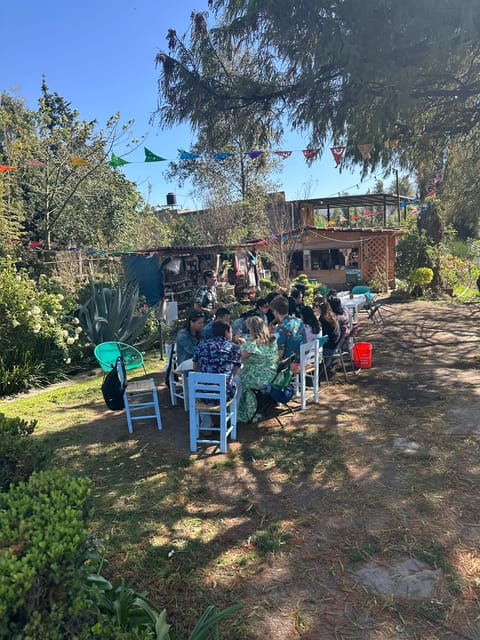 Traditional Xochimilco - Good To Know