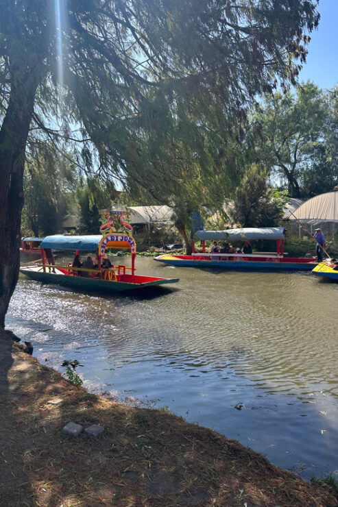 Traditional Xochimilco - Tour Experience