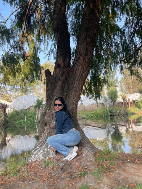 Traditional Xochimilco - Dining and Amenities