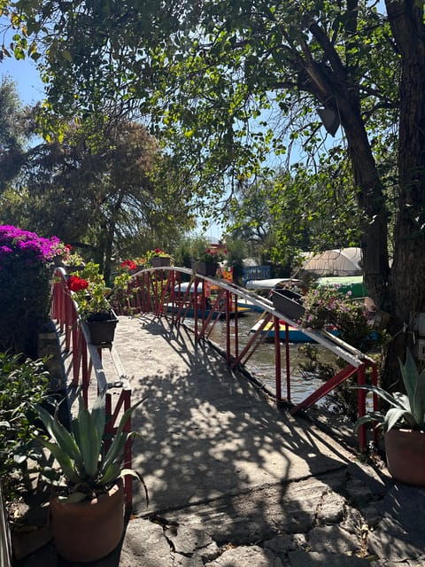 Traditional Xochimilco - Visiting the Greenhouse