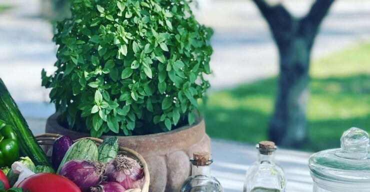 Traditionell Cooking Class in Wood Oven - Language Options and Accessibility