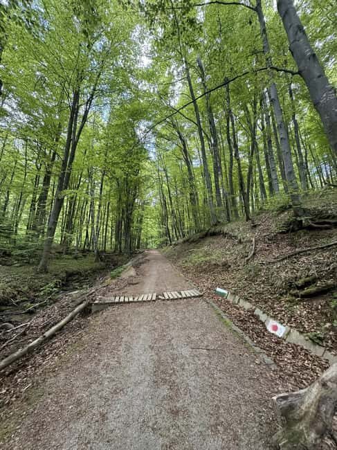 Trail Running Adventure - Who Is This Tour Best For?