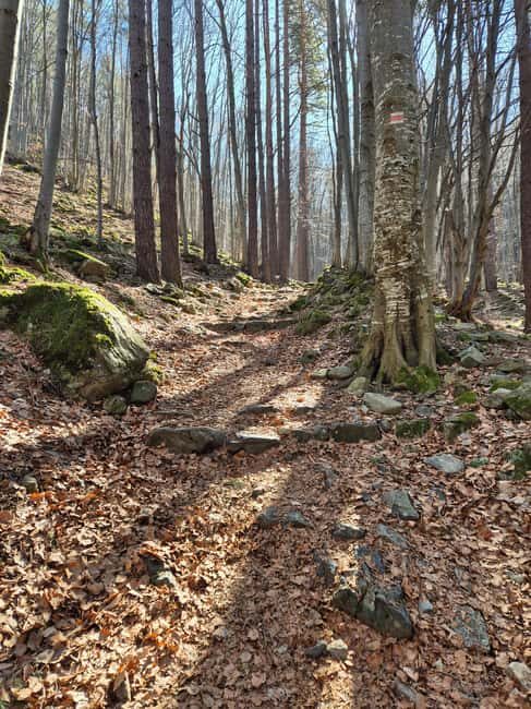 Trail Running Adventure - FAQ