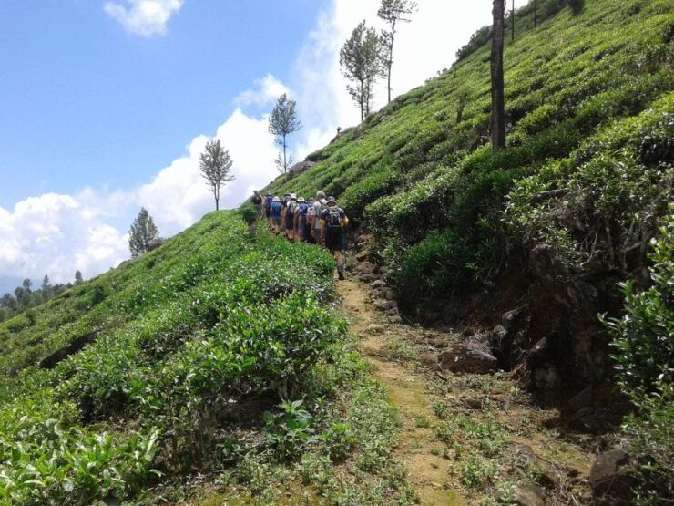 Trail Running From Haputele to Bambarakanda Water Falls - Trail Running Essentials
