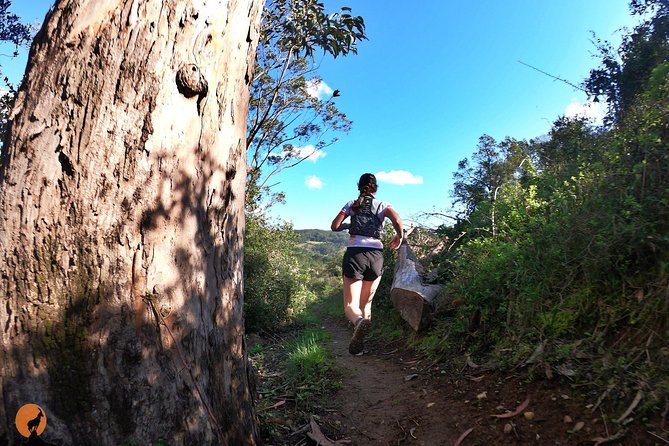 Trail Running in Coimbra - Best Trails in Coimbra