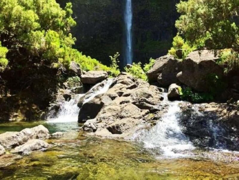 Trail to Wind Lagoon  Explore Levada do Alecrim - What to Expect on the Trail