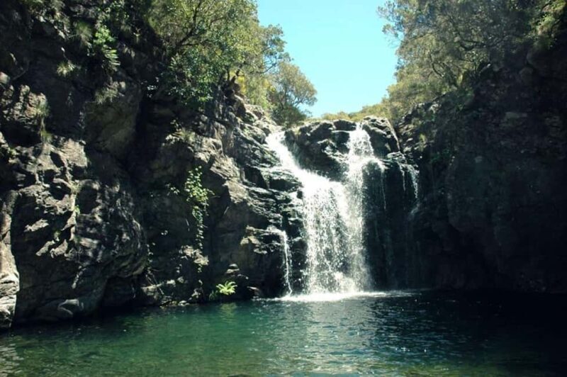 Trail to Wind Lagoon  Explore Levada do Alecrim - Who Should Book This Experience?