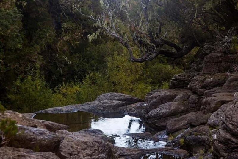 Trail to Wind Lagoon  Explore Levada do Alecrim - The Sum Up