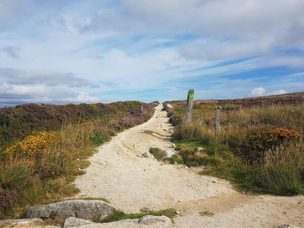 Trails and Tombs of the Dublin Mountains Trek - Scenic Dublin and Wicklow Vistas