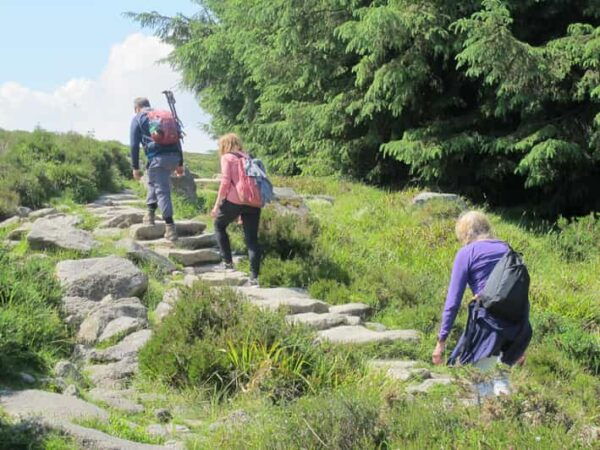 Trails and Tombs of the Dublin Mountains Trek - Historical and Mythological Insights