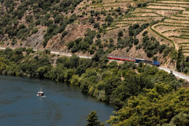 Train and Boat Excursion on the Douro With Lunch - Included Experiences