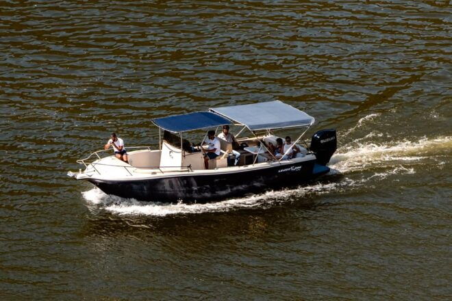 Train and Boat Excursion on the Douro With Lunch - Meeting Location