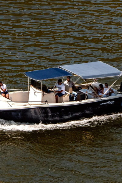 Train and Boat Excursion on the Douro With Lunch - Languages Offered