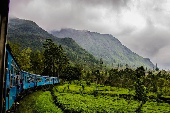 Train From Kandy to Colombo - Transportation and Public Accessibility