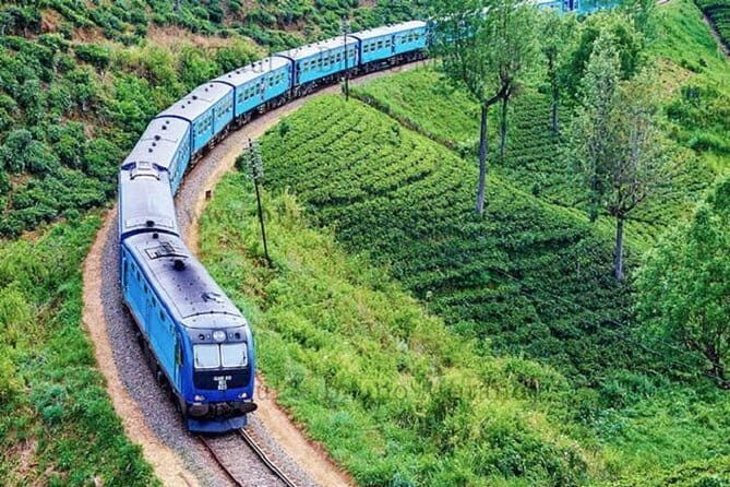Train Tickets from Ella to Ambewela (NuwaraEliya) - An In-Depth Look at the Ella to Ambewela Train Experience