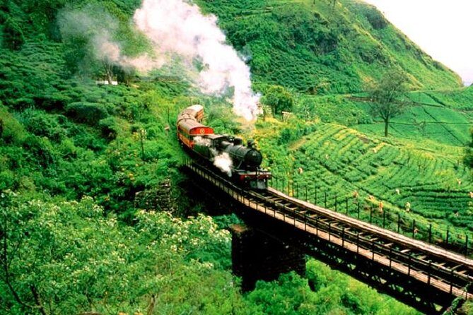 Train Tickets from Nanuoya/ Ambewela (NuwaraEliya) to Ella - The Ride You Cant Miss: A Deep Dive