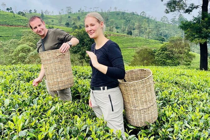 Train Tickets Reservation from Nuwara Eliya to Kandy or Colombo - Experience Highlights: Scenic Views and Comfort