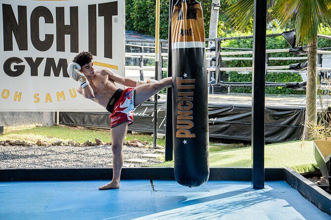 Training Beginner Muay Thai in Koh Samui with Pro Fighters - Introduction: A Unique Chance to Learn Muay Thai in Thailand