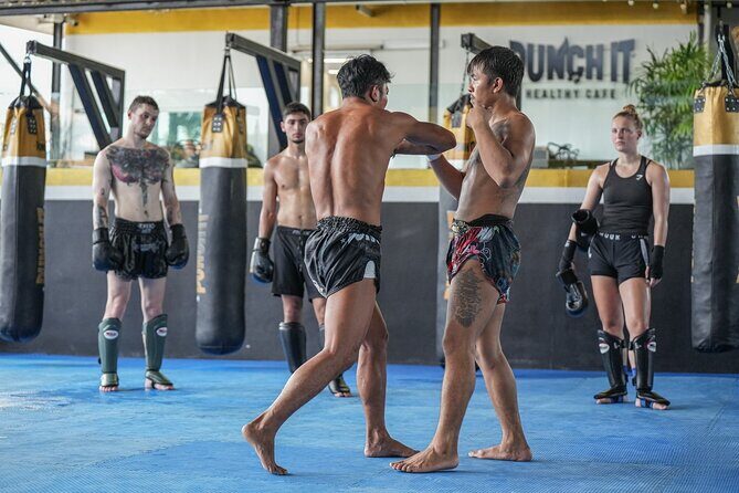 Training Beginner Muay Thai in Koh Samui with Pro Fighters - Who Will Love This Experience?