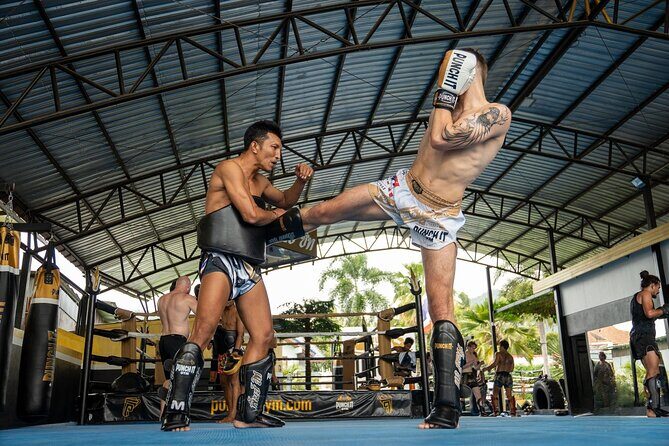 Training Beginner Muay Thai in Koh Samui with Pro Fighters - An In-Depth Look at the Koh Samui Muay Thai Training Experience