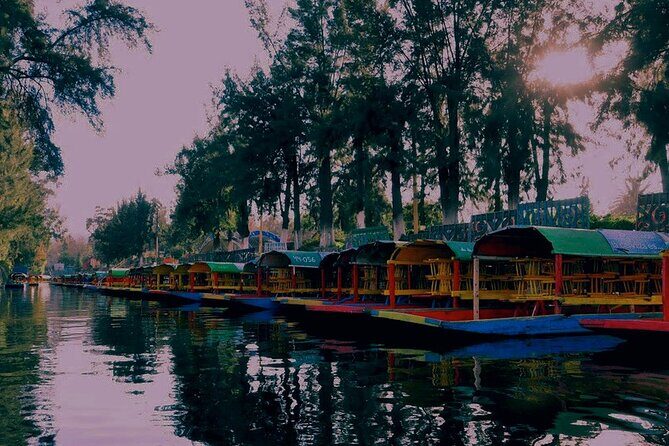 Trajinera Party at Xochimilco with Drinks, Mariachi & Tacos - Group Size, Duration, and Value