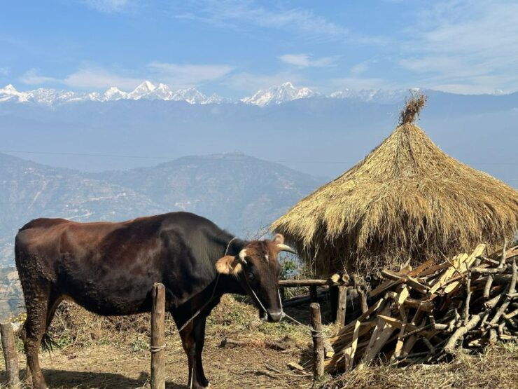 Trakeshwor Kakani to Suryachaur: 2-Day Scenic Hike Adventure - Booking and Logistics