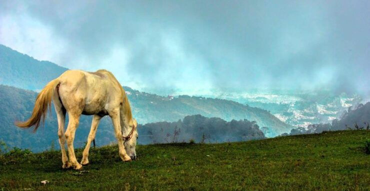 Trakeshwor Kakani to Suryachaur: 2-Day Scenic Hike Adventure - Experience and Itinerary