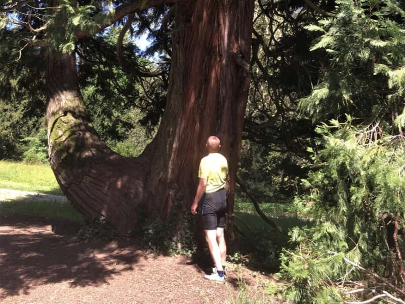 Trakoan: Lakes and Mystical Castles Guided Bike Tour - A Closer Look at the Trakoan Lakes and Mystical Castles Tour