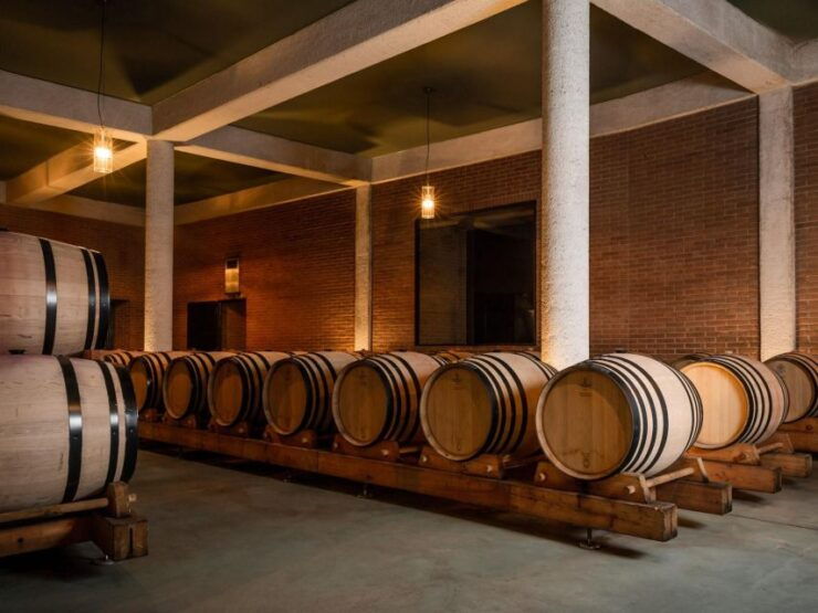 Tramin/Termeno: Winery Tour & Wine Tasting, J. Hofstätter - Activity Details