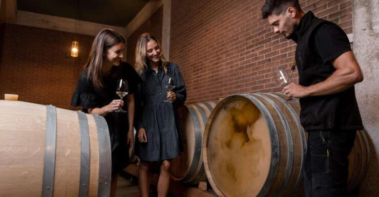 Tramin/Termeno: Winery Tour & Wine Tasting, J. Hofstätter - Experience Itinerary