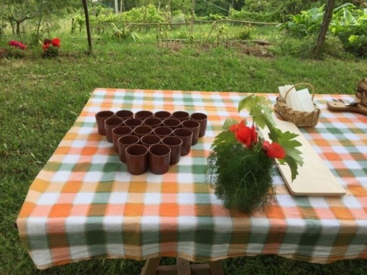 Tramonti: Re Fiascone Experience 1-Hour Food & Wine Tasting - Experience Details