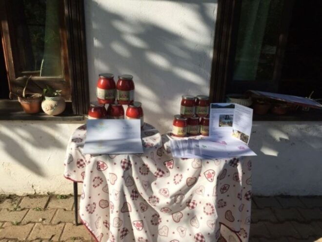Tramonti: Re Fiascone Experience 1-Hour Food & Wine Tasting - Logistics