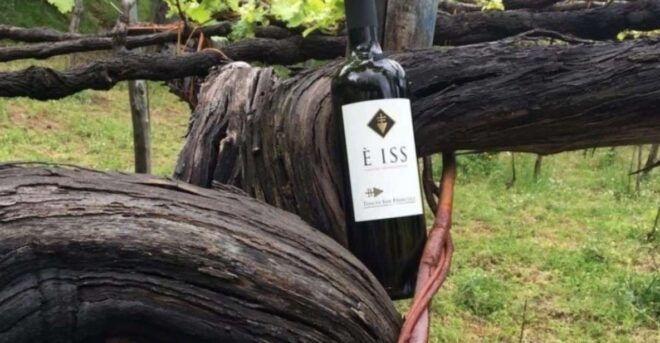 Tramonti: Tenuta San Francesco Wine Tasting - Vineyard Visit and Estate Exploration