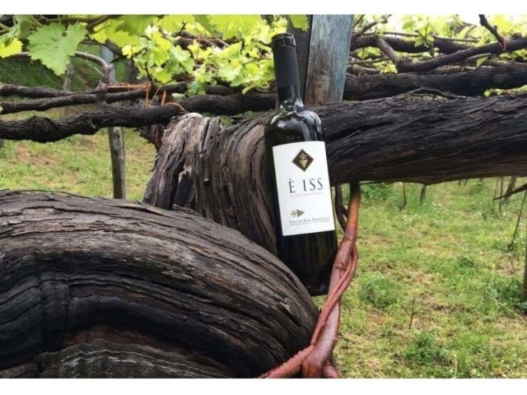 Tramonti: Tenuta San Francesco Wine Tasting - Activity Details