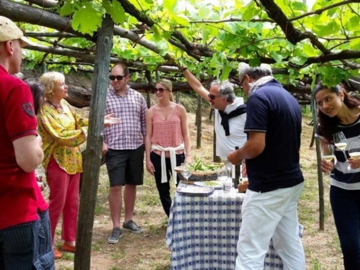 Tramonti: Tenuta San Francesco Wine Tasting - Experience Highlights