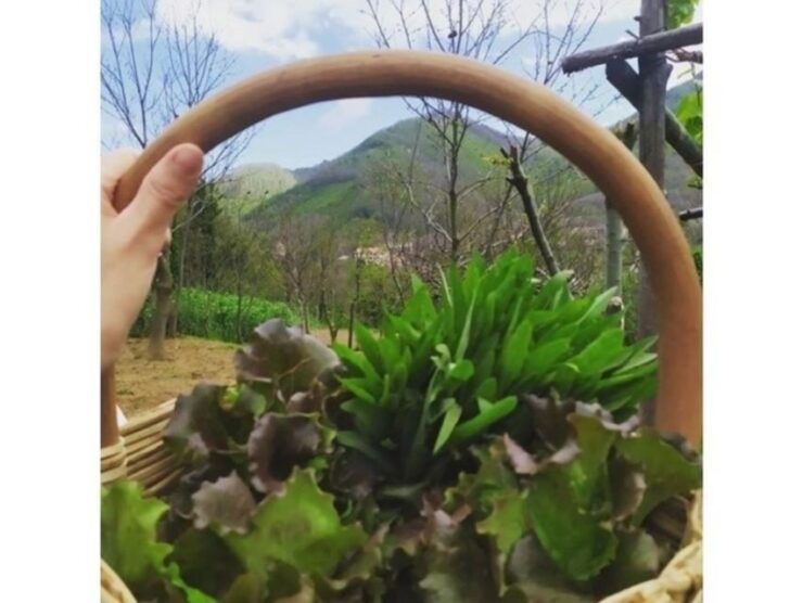 Tramonti: Traditions of the Mediterranean Diet Cooking Class - Highlights of the Cooking Class